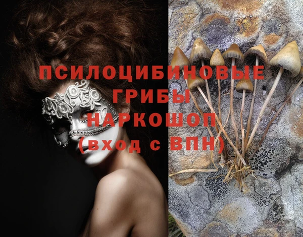 а пвп мука Корсаков