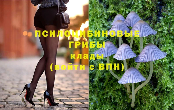 а пвп мука Корсаков
